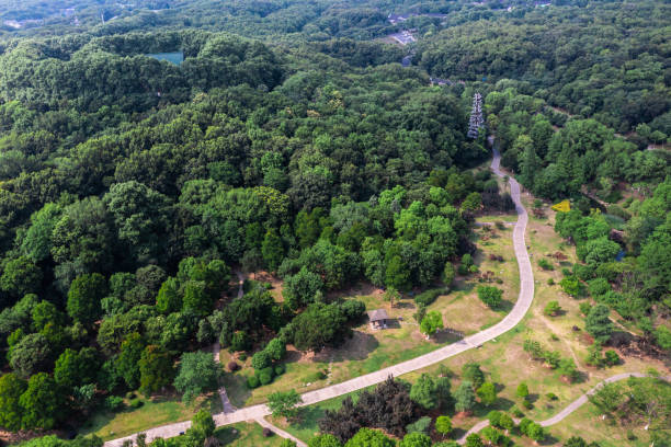 istock Aerial view of road with green trees 1511293227