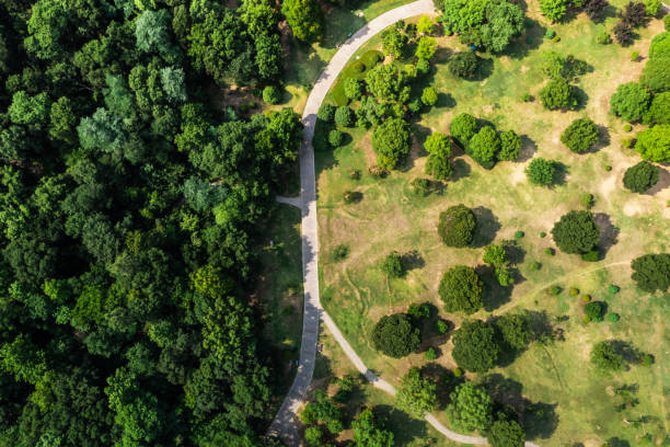 istock Aerial view of road with green trees 1511293885