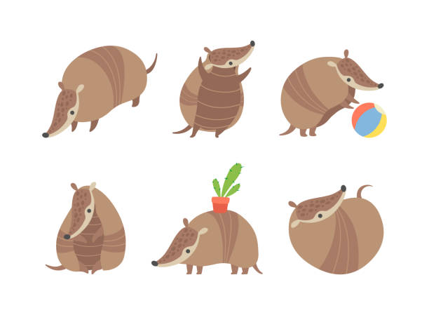 Cute Armadillo Character with Armor Shell Engaged in Different Activity Vector Set Cute Armadillo Character with Armor Shell Engaged in Different Activity Vector Set. Funny Placental Mammal Concept armadillo stock illustrations