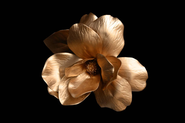 golden rose on black background.
