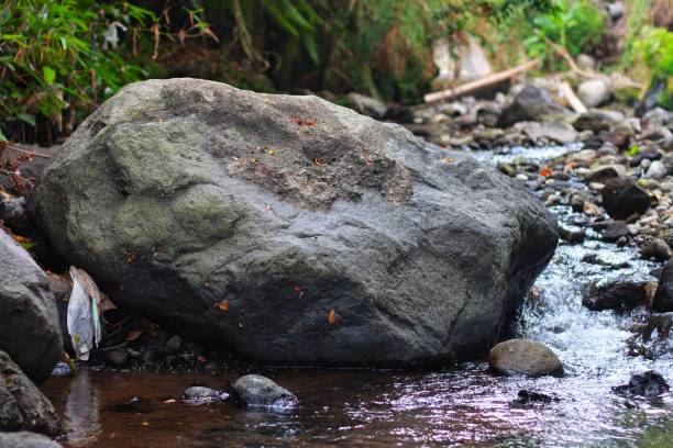 istock Crystal-clear water flow reveals rocks at the riverbed 1511309879