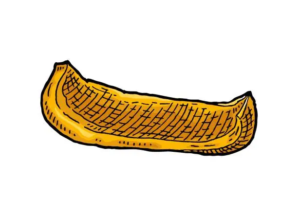 Vector illustration of Sweet yellow bell pepper slice. Vintage vector engraving color illustration.