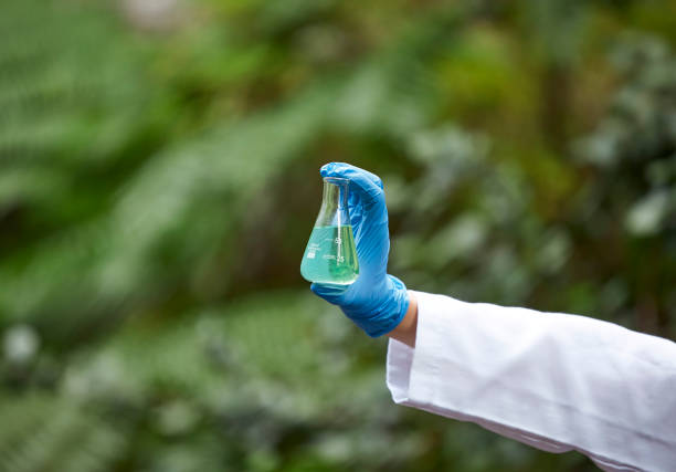 istock Science, nature and scientist hand with beaker for liquid sample inspection, environment and ecosystem. Agriculture, biology and person with glass in forest for analysis, research and study mock up 1511328340