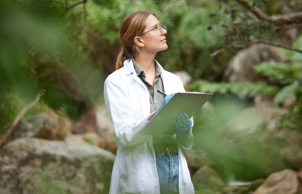 anmed health williamston family medicine