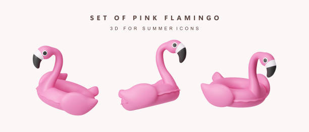 3d Set of pink flamingo float icon for summer vacation concept. icon isolated on white background. 3d rendering illustration. Clipping path. 3d Set of pink flamingo float icon for summer vacation concept. icon isolated on white background. 3d rendering illustration. Clipping path.. flamingo floaty stock pictures, royalty-free photos & images