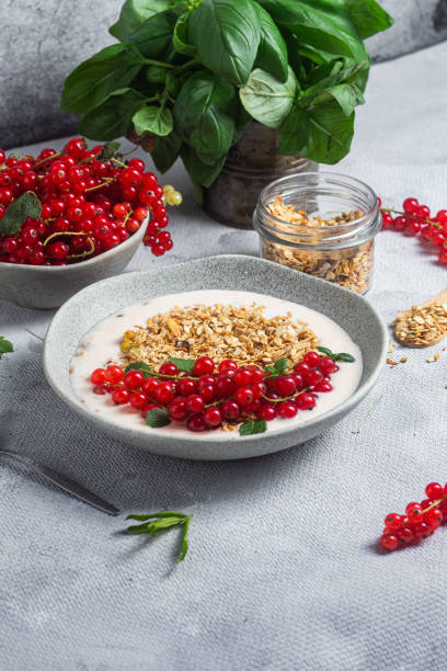 istock Oatmeal. Granola with yogurt and red currant 1511346937
