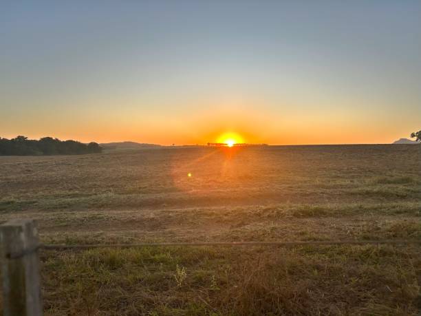 istock beautiful sunset on brazil farm 1511379512