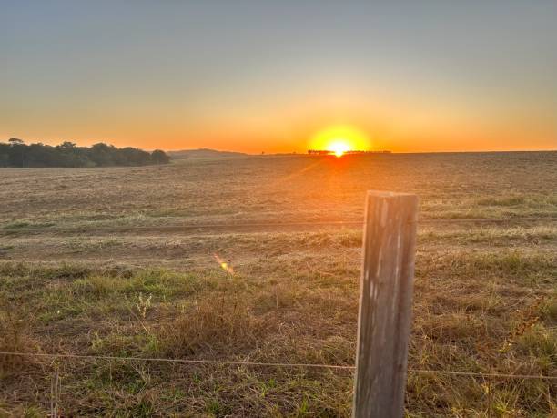 istock beautiful sunset on brazil farm 1511379514