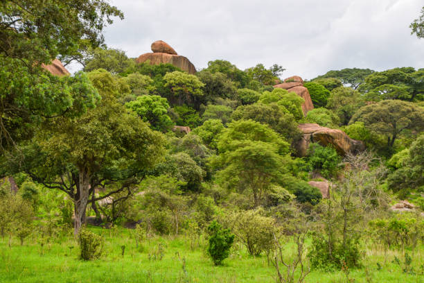 african landscape with balancing rocks - travel famous place balanced rock beauty in nature imagens e fotografias de stock