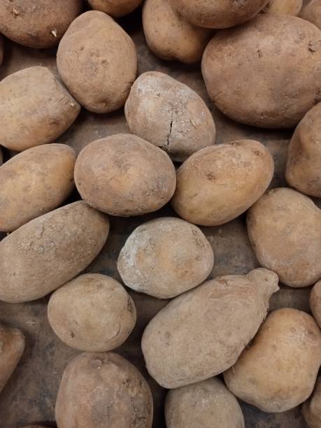 istock pile of potatoes 1511408928