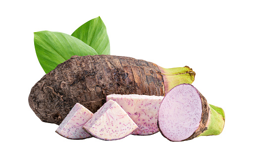 Taro root and slice isolated on white background.