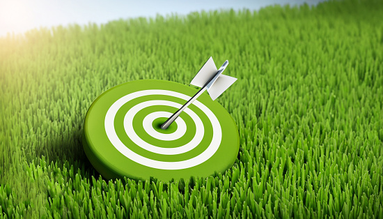 Environment target of Green business with grass and target sign
