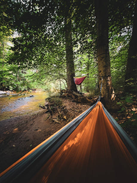 istock Hammocking in the woods 1511418884