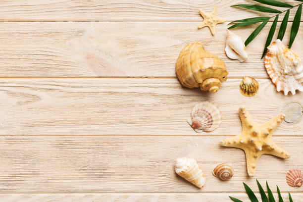 istock Summer time concept Flat lay composition with beautiful starfish and sea shells on colored table, top view with copy space for text 1511420483