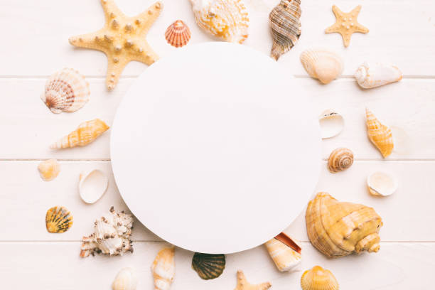 istock Summer time concept with blank greeting card and blank white paper on colored background. Seashells from ocean shore in the shape of frame separated with space for text top view 1511420509