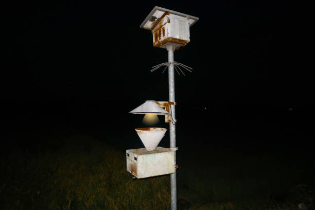 istock light trap or Insect Killer Lamp or Solar Insect Killer Lamp on field 1511446023