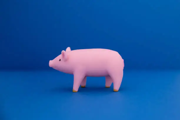 Photo of Pink pig on blue background