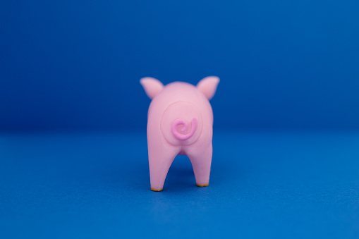 an isolated marzipan pig on lucky clover