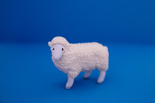 White Sheep plastic toy on blue background