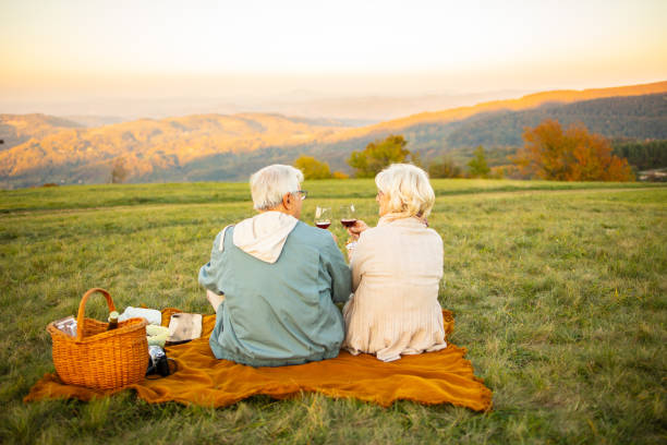 istock Senior couple enjoying picnic with the view 1511454237
