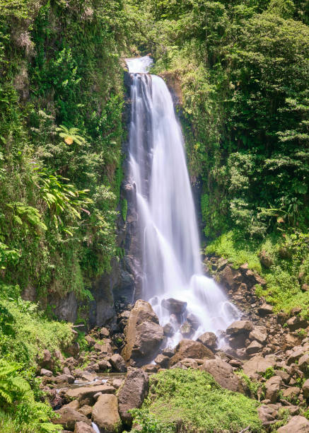 istock Trafalgar Falls - mama, Dominica 1511467080