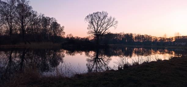 istock Twilight at the lake 1511501136