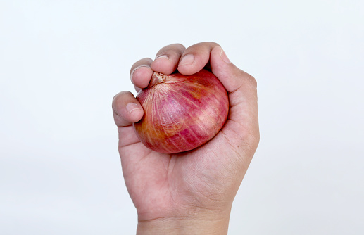 Male Hand holding red onion isolated on white background