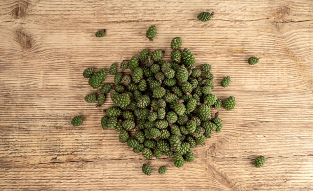 A bunch of young pine cones on a wood texture