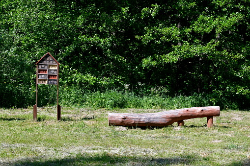 A close up on a part of a small public park with a big log serving as a seat and a table for tourists, as well as a small hut or shack intended for birds, insects, and other animals seen in Poland