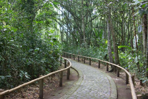istock Nature pics around Cundinamarca 1511598869