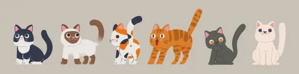 Vector illustration of Vector Cat Characters: Meet 5 Unique Cat Breeds in Adorable Cartoon Style for International Cat Day