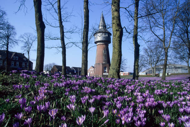 Husum,Germany, Europe- June 20,2023: Crocus  blossom(Crokus), palace gardens