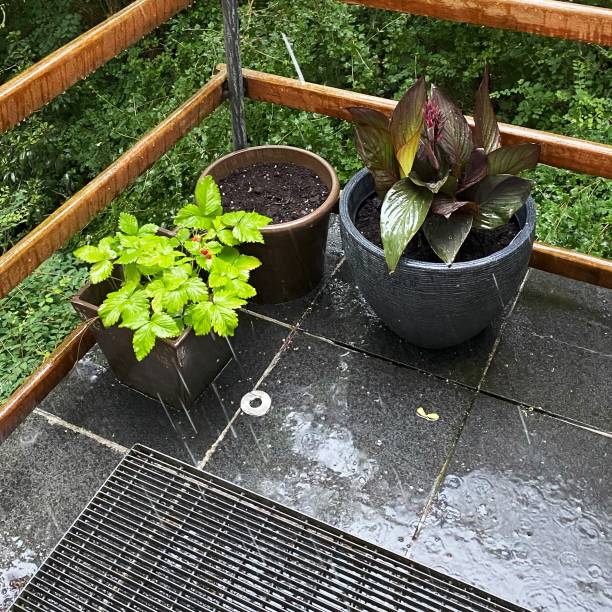 istock wet black granite patio 1511689265