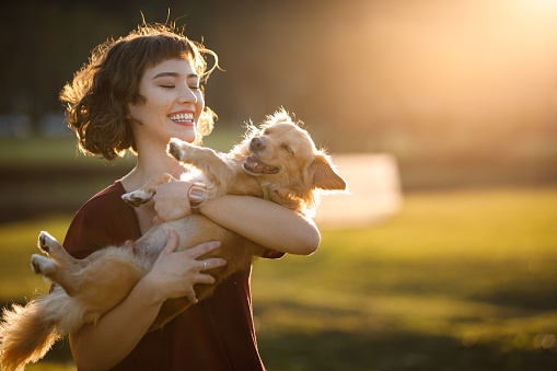 Dog walk in the park on weekends