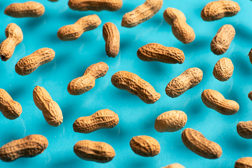 Peanuts in the shell. Collection of falling peanuts isolated on blue background. Selective focus