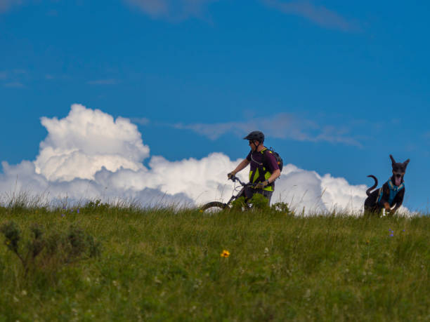 istock Mountain biker rides over meadow with dog 1511748013