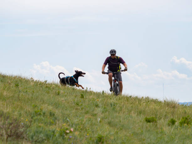 Mountain biker rides over meadow with dog