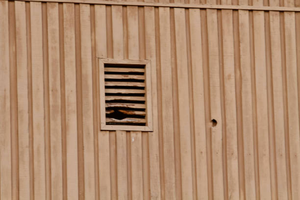Woodpecker holes on side of wooden house background