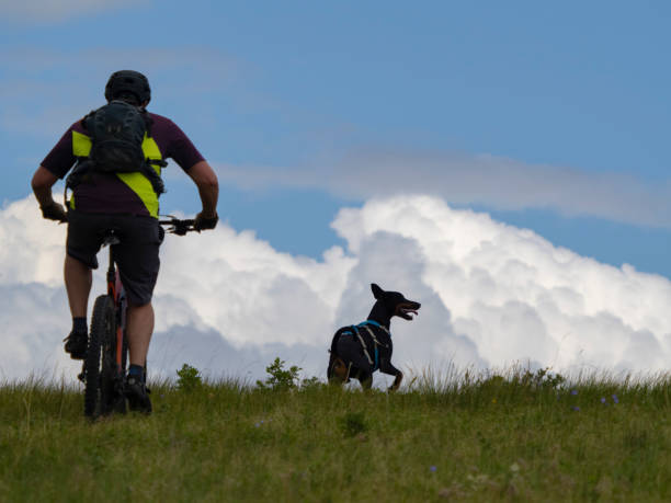istock Mountain biker rides over meadow with dog 1511750187