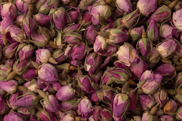 istock Dry tea roses isolated on white background. 1511779447