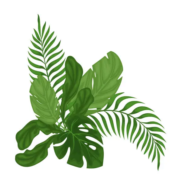 Vector illustration of Green tropical leaves.