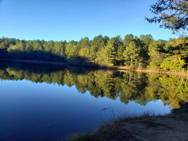 istock North carolina 1511816273