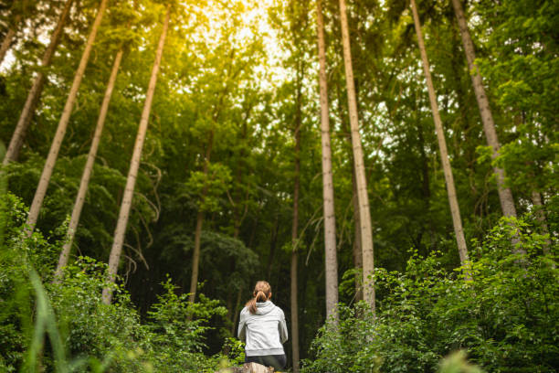 Frau sitzt in einem Kiefernwald und schaut ehrfürchtig nach oben und genießt die Natur. – Foto