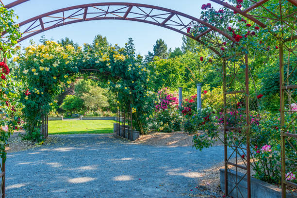 istock Seatac Garden In Bloom 2 1511839789