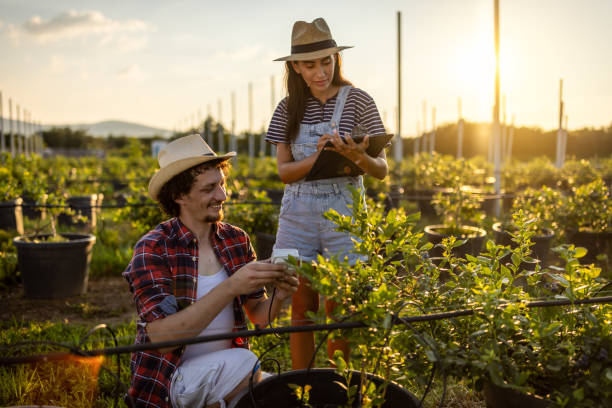 istock Technology on the organic farm 1511843433