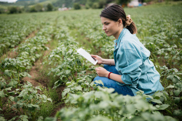 istock Young woman with digital tablet working in a farm 1511871261