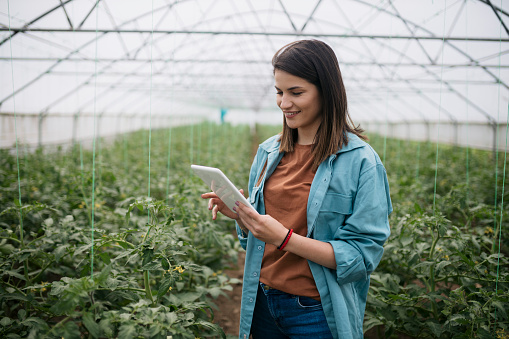 Young woman working on digital tablet in modern greenhouse farm. Female working at greenhouse garden looking at tablet computer.