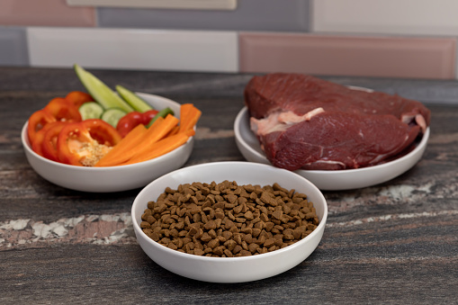 3 bowls of raw meat, vegetables and dry dog food on the kitchen counter