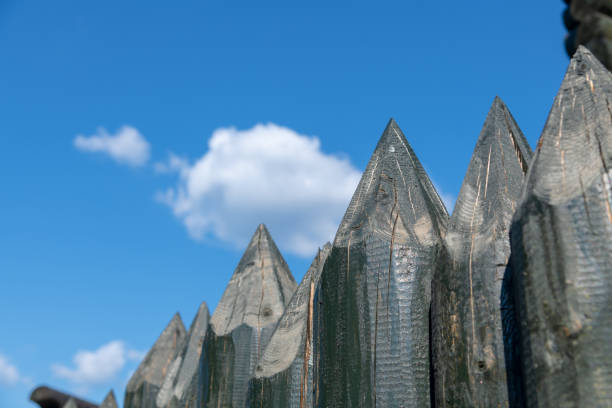 Close-up view of black wooden wall made of sharp wooden stakes in a sunny summer day. Clear blue sky with few clouds. Soft focus. Copy space for your text. Protection theme.