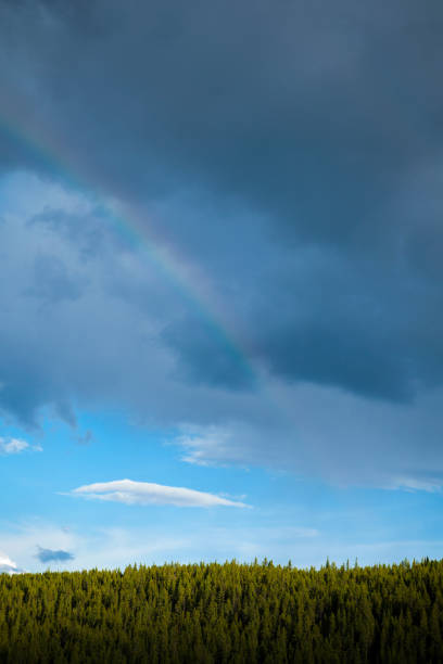Auckland, New Zealand - 03, April 2016: Cropped thick rainbow over Auckland city ports